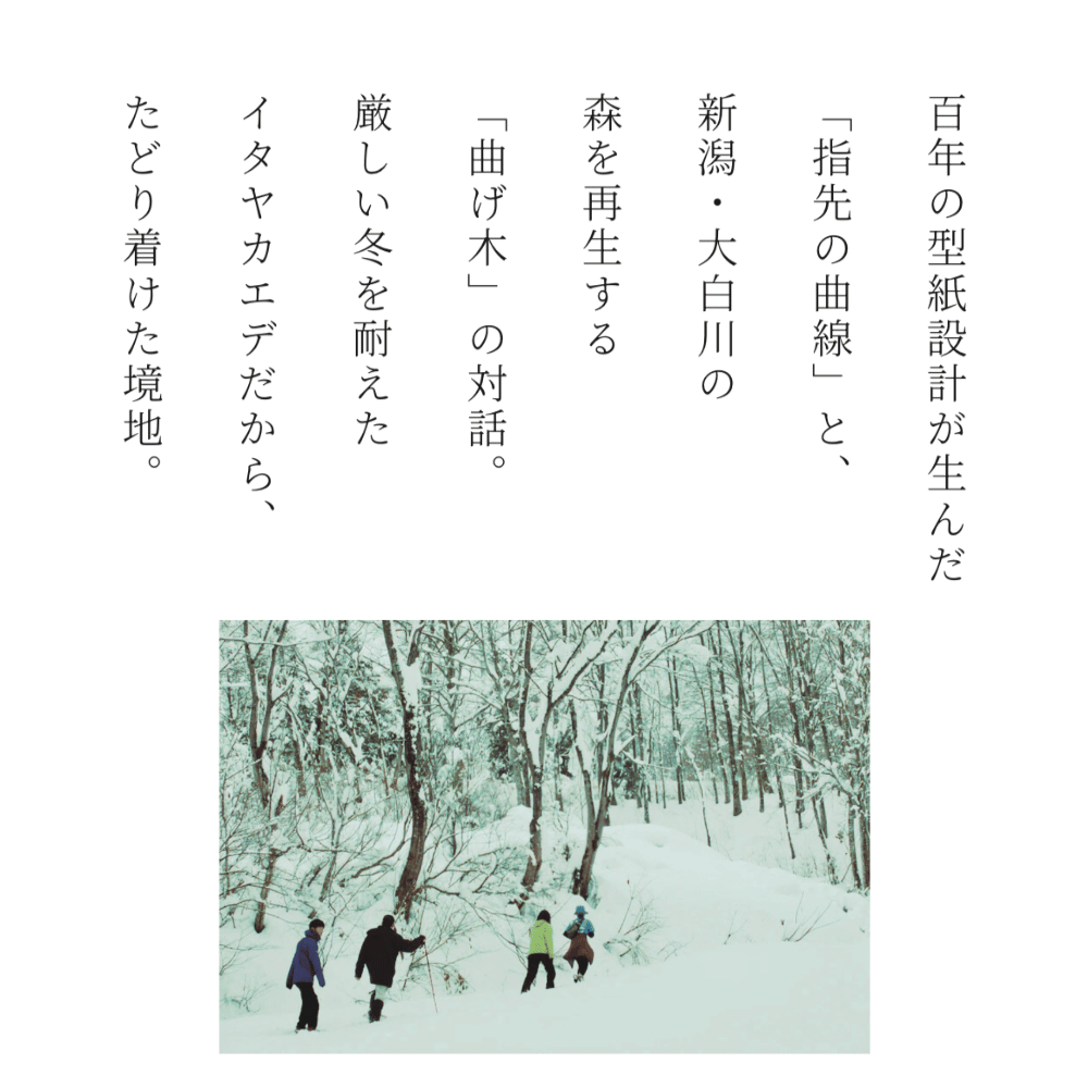 グローブハンガー 楓曲 (FUKYOKU)