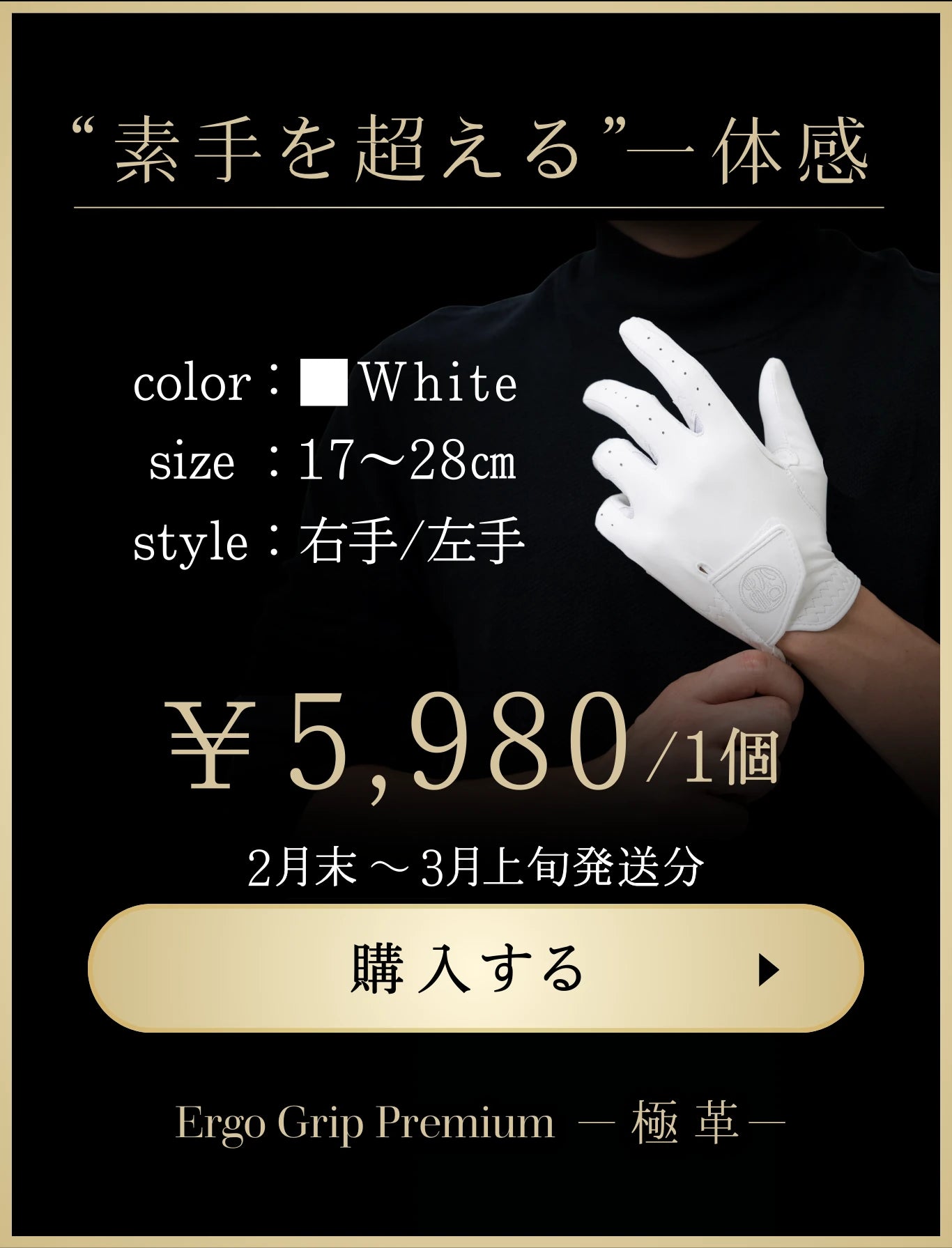 ErgoGrip Premium −極革−